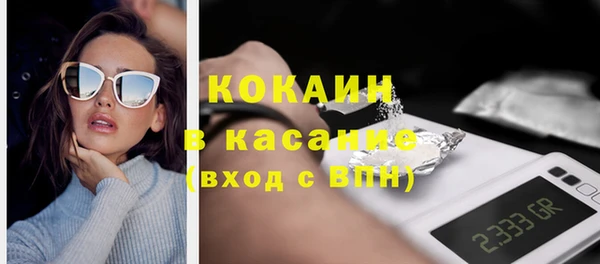 твердый Аркадак