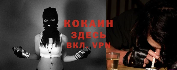 твердый Аркадак