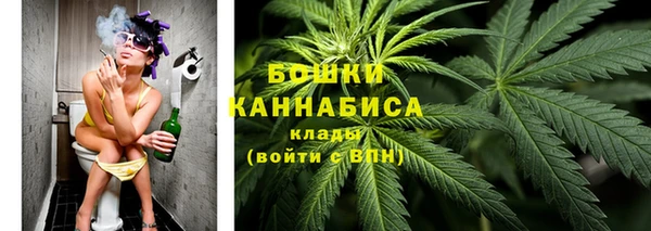 твердый Аркадак