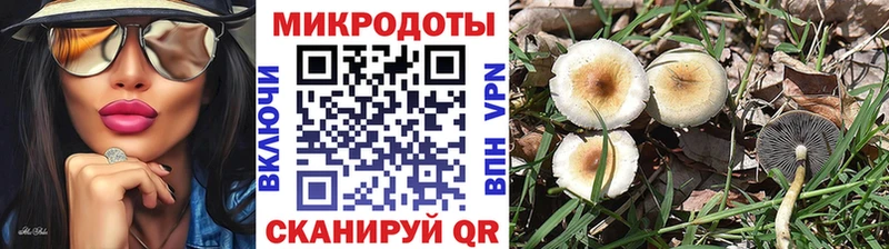 продажа наркотиков  Сокол  Галлюциногенные грибы мухоморы 
