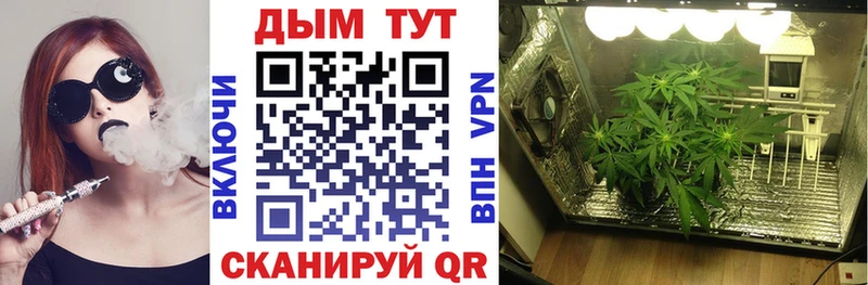 Конопля AK-47 кракен ссылки Сокол